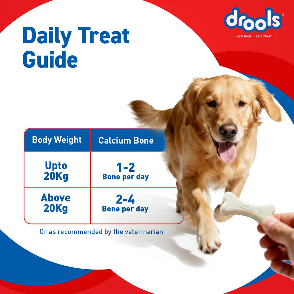 Drools Absolute Dog Bone Treats 600g Jar (40 Pieces) | Milk Flavour | Supports Strong Gums & Jaws | Fortified with Calcium & Phosphorus | Promotes Clean Teeth & Oral Hygiene