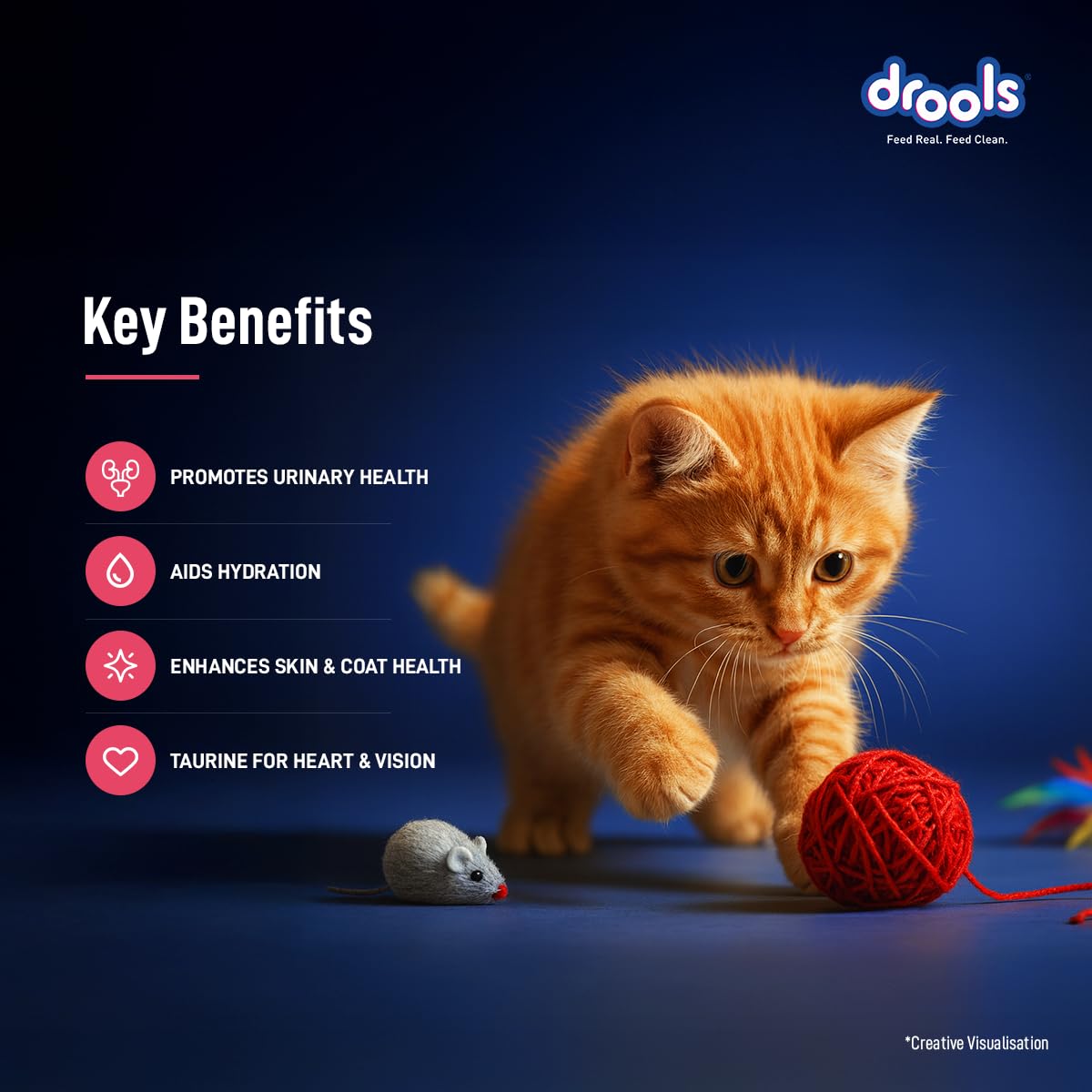 Drools Kitten Wet Mousse 80g Pack of 5, 400g | Salmon Flavour | Rich in Protein | Promotes Hydration & Easy to Digest | No Artificial Flavours | Packed with Essential Vitamins & Antioxidants