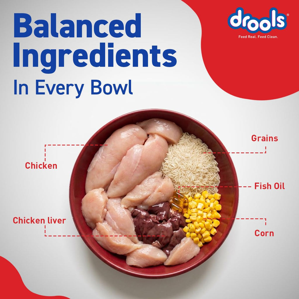 Drools Adult Dry Dog Food 10kg | Chicken Flavour | Optimum Protein & Energy Ratio | High-Grade Protein with Vitamins & Minerals | Easily Digestible for Optimum Performance
