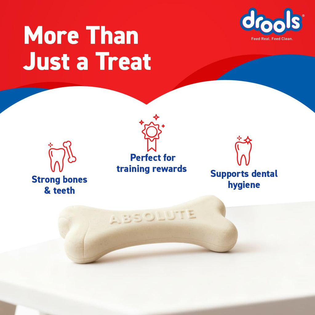 Drools Absolute Dog Bone Treats 600g Jar (40 Pieces) | Milk Flavour | Supports Strong Gums & Jaws | Fortified with Calcium & Phosphorus | Promotes Clean Teeth & Oral Hygiene