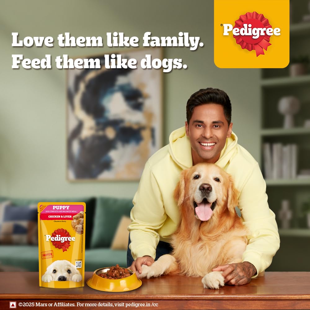 Pedigree Puppy Wet Dog Food, Chicken Chunks in Gravy, 130 g (Pack of 12), Complete & Balanced Meal for Puppies