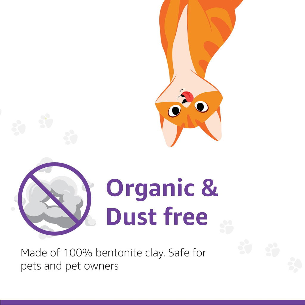 Amazon Basics Scoopable Smart White Bentonite Scented Cat Litter | 10 Kg | 5 Kg X 2 Packs | Organic | Bentonite From Turkey | Dust-Free | Lavender Fragrance