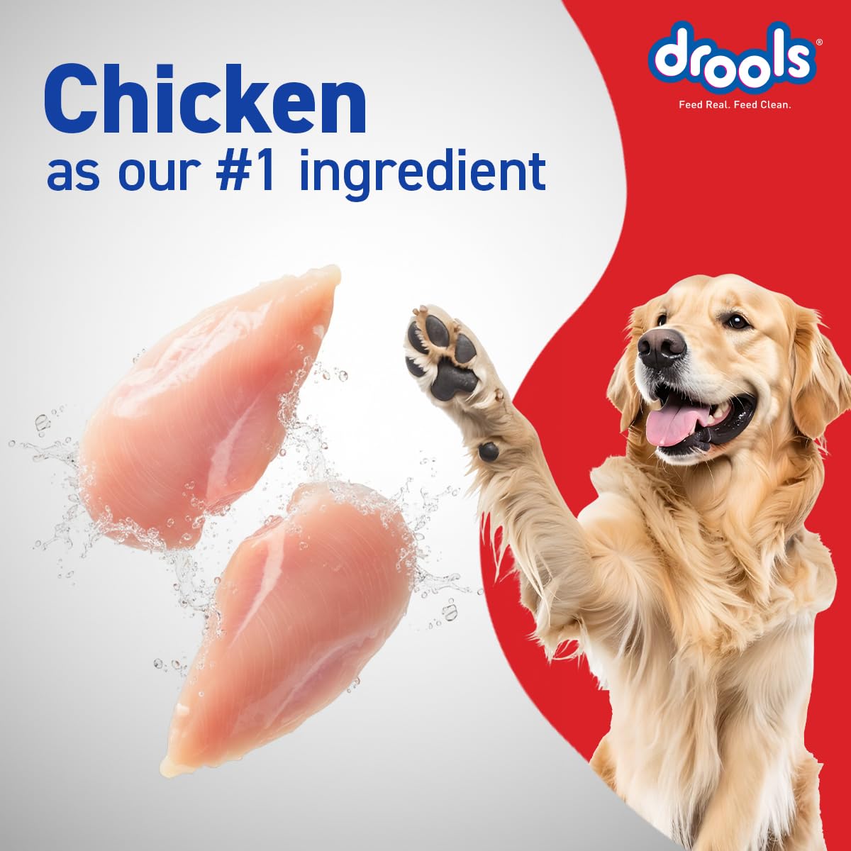 Drools Adult Dry Dog Food 4.2kg (3kg + 1.2kg Free) | Chicken & Egg Flavour | Supports Active Behaviour | Digestive Health & Immunity | Better Digestibility