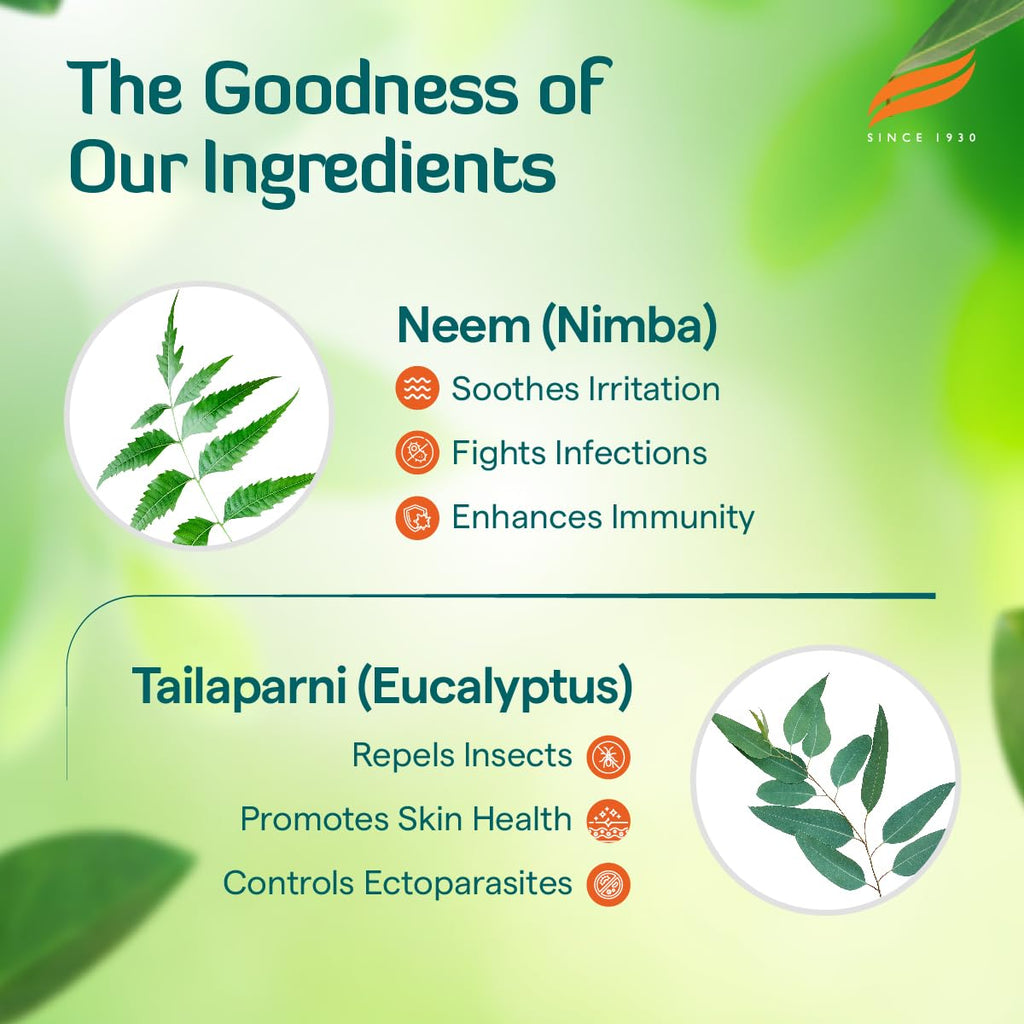 Himalaya Erina-EP Shampoo | 200 ml | Tick & Flea Control for Dogs & Cats | with Neem & Eucalyptus for Skin Health & Hygiene