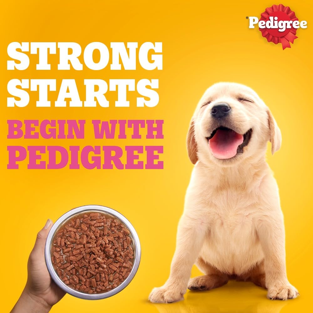 Pedigree Puppy Wet Dog Food, Chicken Chunks in Gravy, 130 g (Pack of 12), Complete & Balanced Meal for Puppies