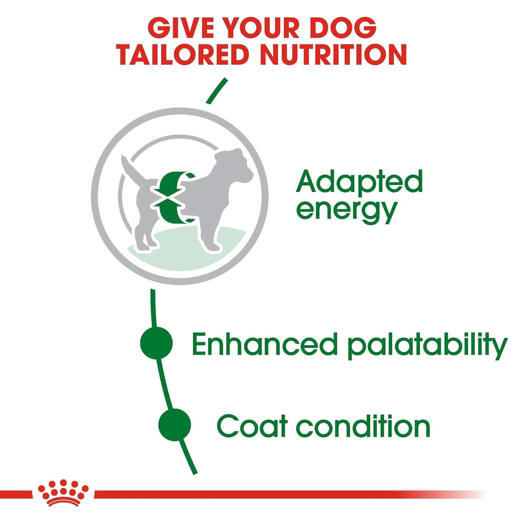 Royal Canin Mini Adult Dog Food, Dry Food, Supports Weight Management & Digestive Health, Promotes overall development, 800 Grams