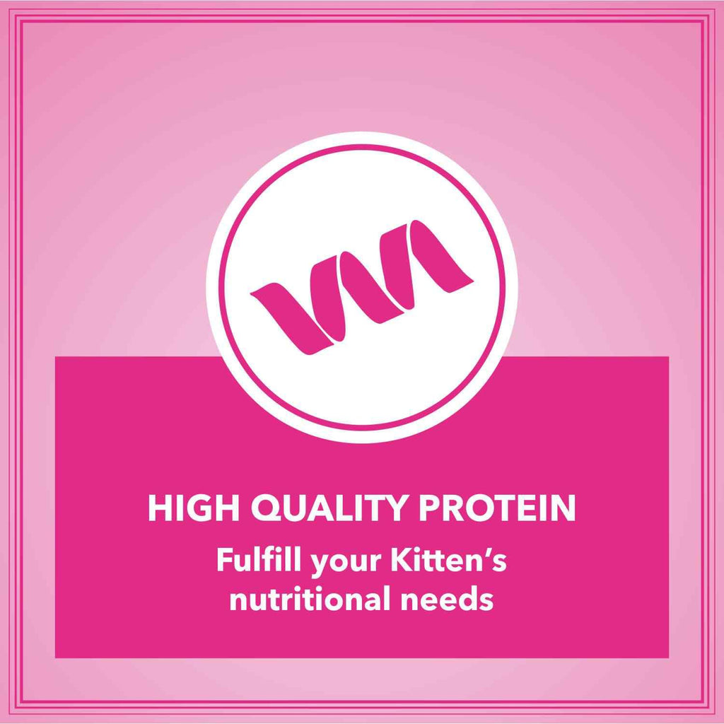 Let's Bite Active Kitten Dry Cat Food, 400 gm (Buy 1 Get 1 Free), Total 800 g Pack