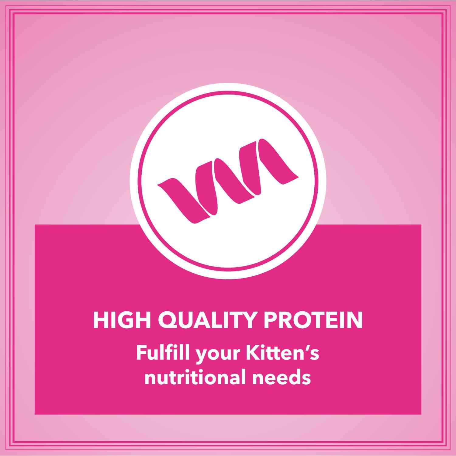 Let's Bite Active Kitten Dry Cat Food, 400 gm (Buy 1 Get 1 Free), Total 800 g Pack