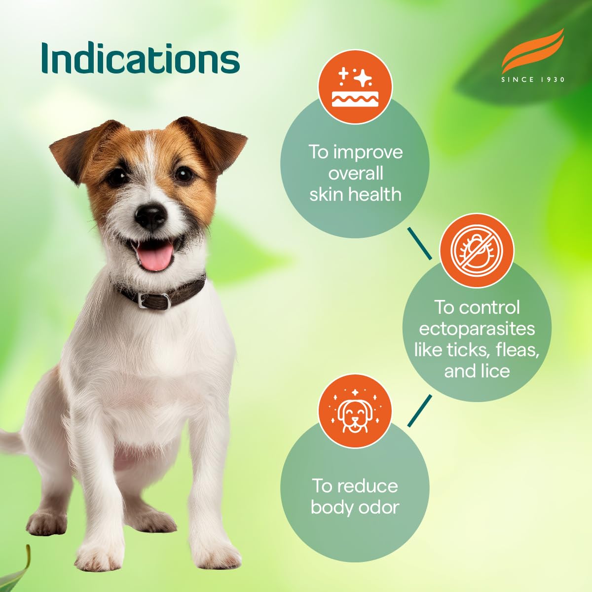 Himalaya Erina-EP Powder | 150 g | Tick & Flea Control for Dogs & Cats | With Neem & Eucalyptus for Skin Health & Hygiene