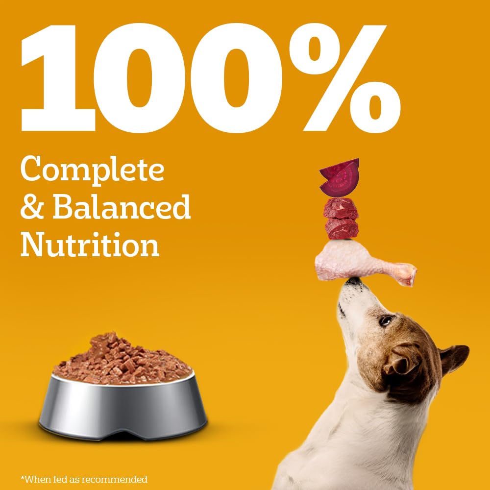 Pedigree Adult Wet Dog Food, Chicken & Liver Chunks in Gravy, 70 g (Pack of 15), Complete & Balanced Meal for Adult Dogs