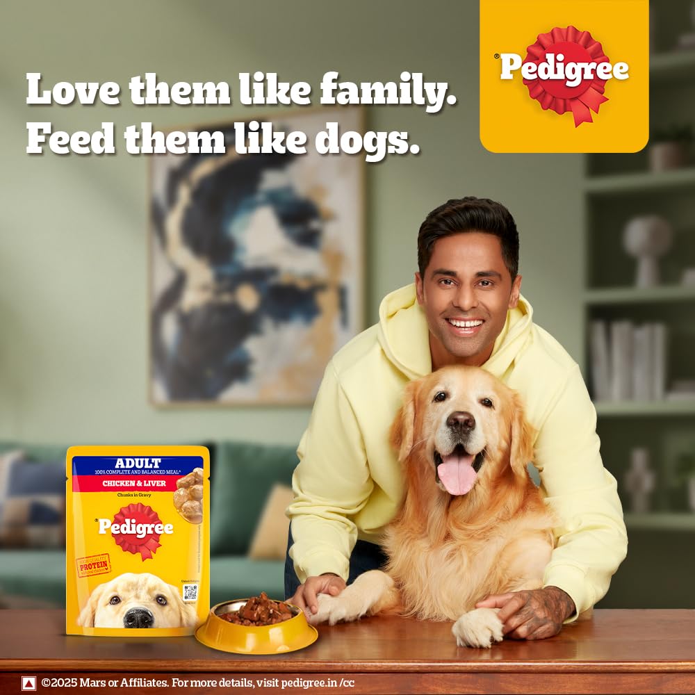 Pedigree Adult Wet Dog Food, Chicken & Liver Chunks in Gravy, 70 g (Pack of 15), Complete & Balanced Meal for Adult Dogs