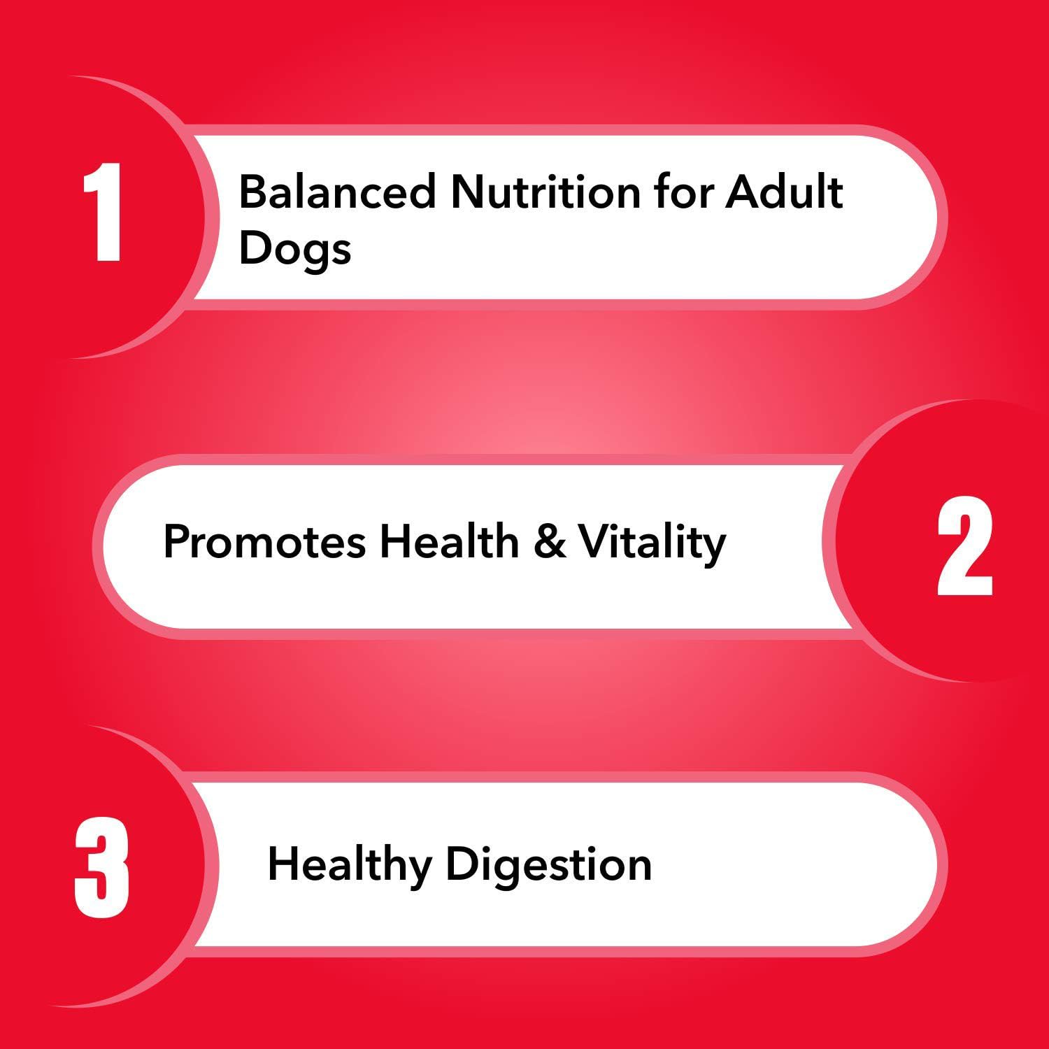 Purepet Adult Dry Dog Food 10kg | Meat & Rice Flavour | Promotes Health & Vitality | Immune Support | Healthy Digestion | Nutrient Rich