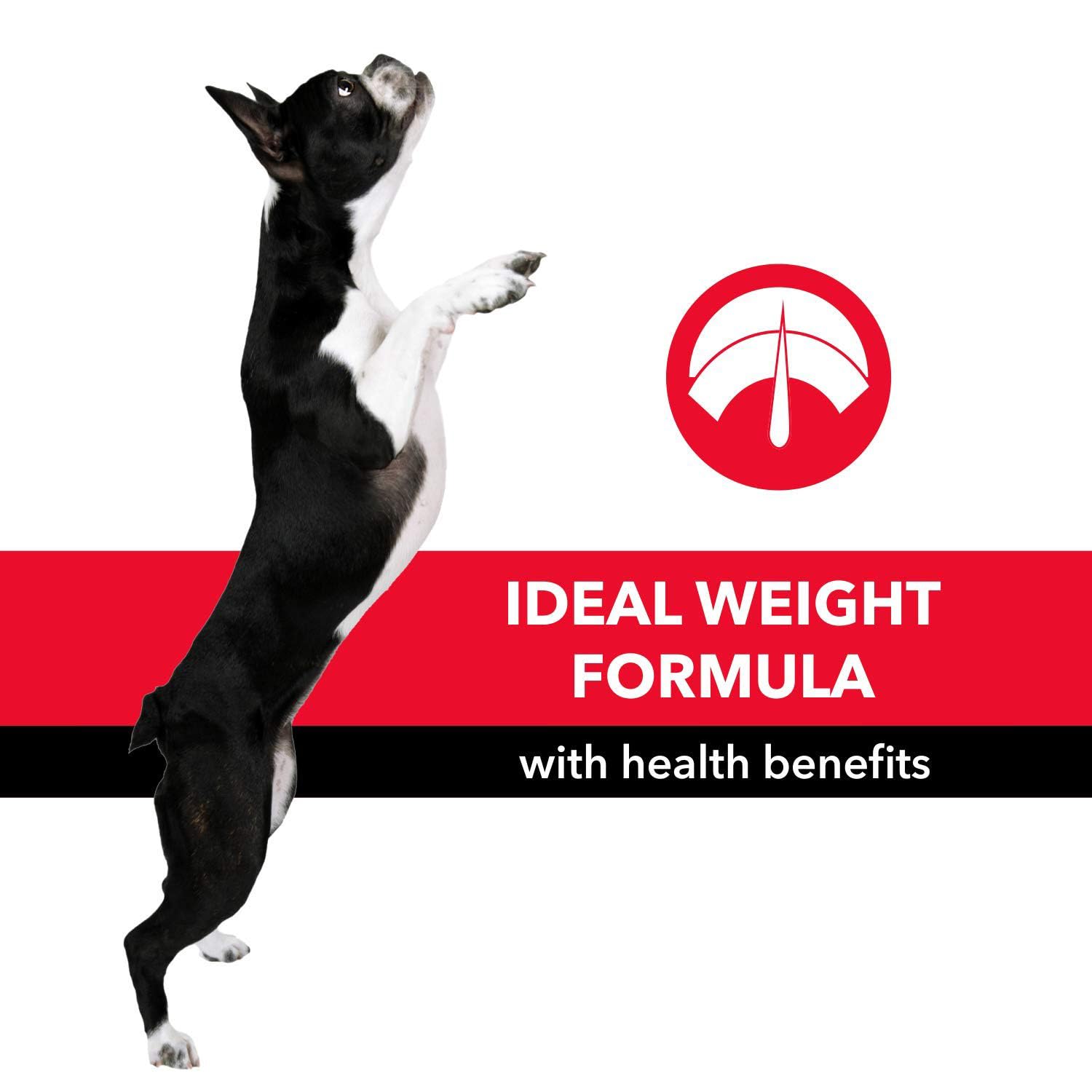 Purepet Adult Dry Dog Food 10kg | Meat & Rice Flavour | Promotes Health & Vitality | Immune Support | Healthy Digestion | Nutrient Rich