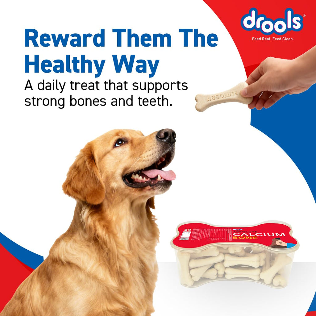 Drools Absolute Dog Bone Treats 600g Jar (40 Pieces) | Milk Flavour | Supports Strong Gums & Jaws | Fortified with Calcium & Phosphorus | Promotes Clean Teeth & Oral Hygiene