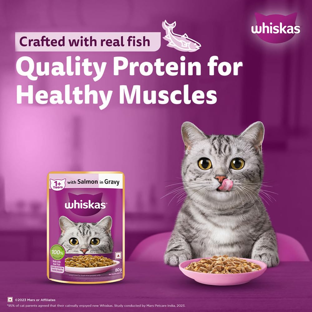 Whiskas Adult (1+ Years) Wet Cat Food, Salmon in Gravy, 80 g (Pack of 14), Hydrating Food Made With Real Fish, 100% Complete & Balanced Nutrition for Adult Cats