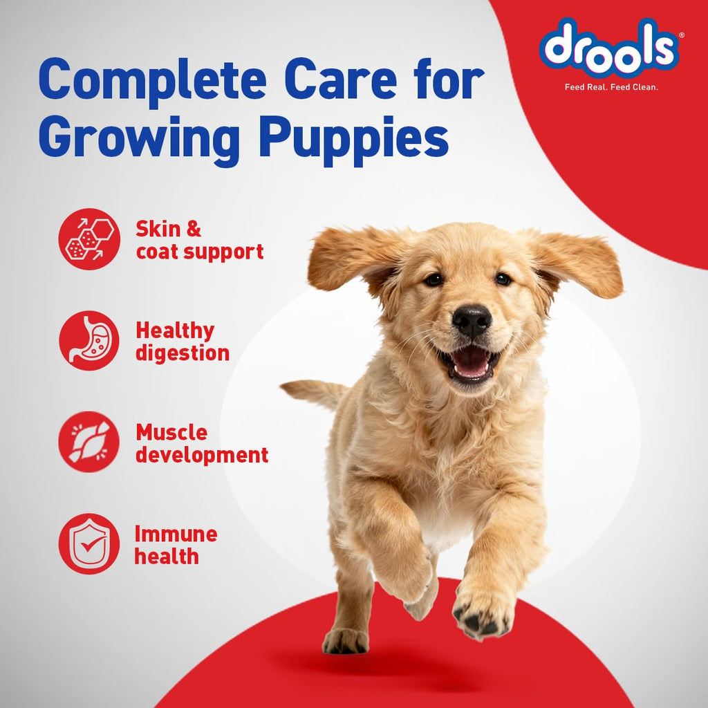 Drools Puppy Dry Dog Food 4.2kg (3kg + 1.2kg Free) | Chicken & Egg Flavour | Supports Active Behaviour | Digestive Health & Immunity | Better Digestibility