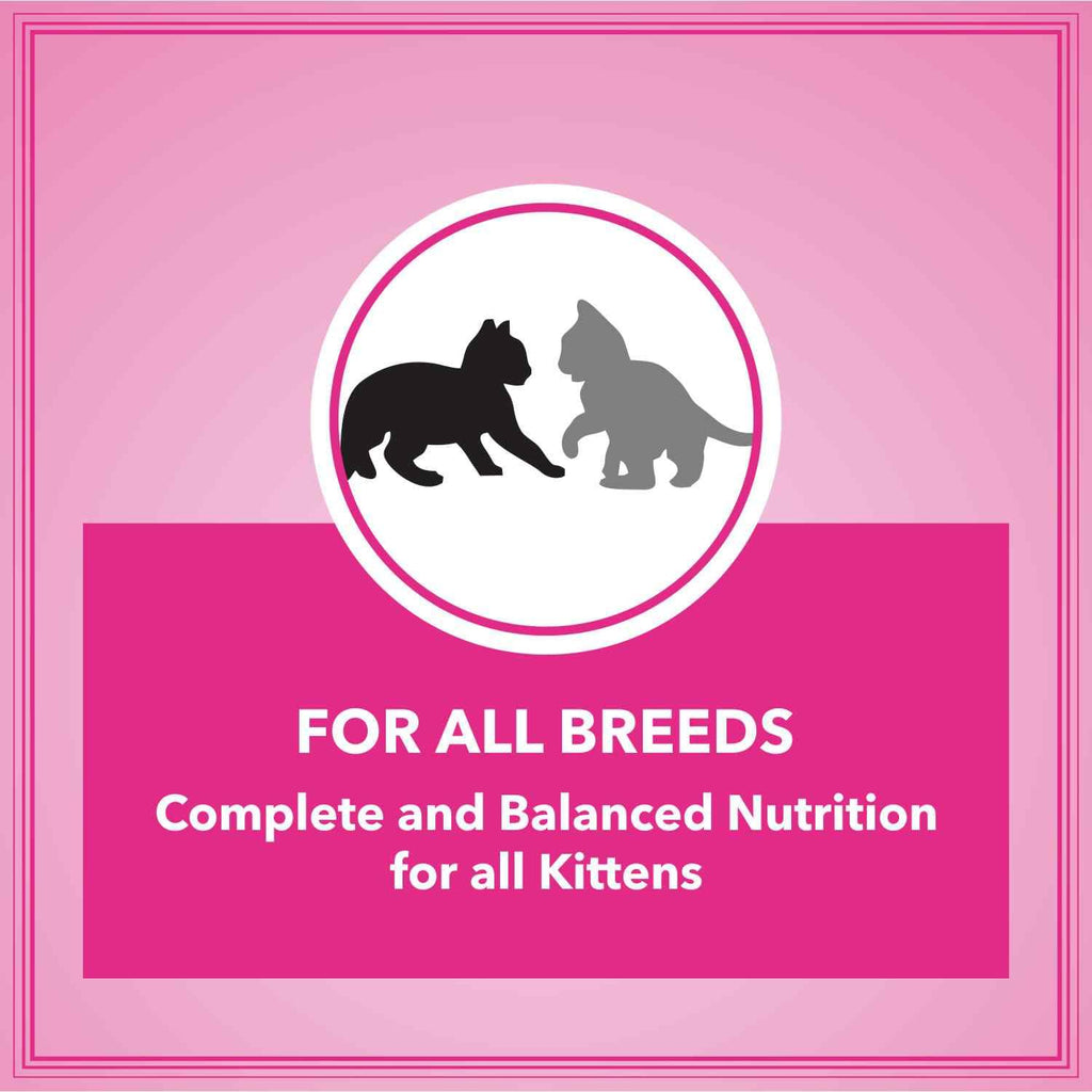 Let's Bite Active Kitten Dry Cat Food, 400 gm (Buy 1 Get 1 Free), Total 800 g Pack