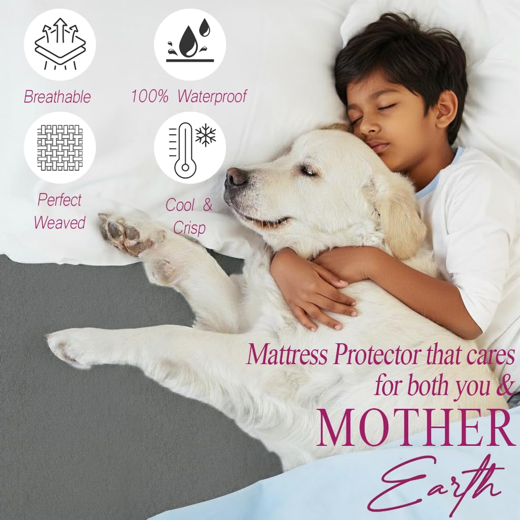 Trance Cotton Feel Terry Ultra Soft Waterproof Mattress Protector | Breathable - Hypoallergenic Bed Protector (72x24 inch | 6x2 feet, Grey - Pack of 1)