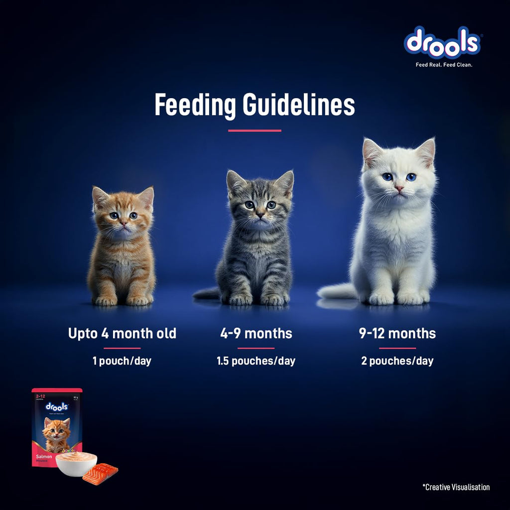 Drools Kitten Wet Mousse 80g Pack of 5, 400g | Salmon Flavour | Rich in Protein | Promotes Hydration & Easy to Digest | No Artificial Flavours | Packed with Essential Vitamins & Antioxidants