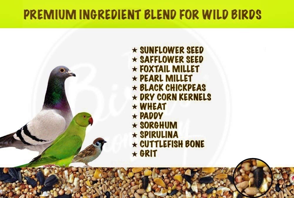 The Birds Company Premium Seed Blend of 9 Grains & Nuts, Bird Feeder Food Refill, Mix Seeds for Outside Wild Birds, Indian Parrot, Sparrow, Doves, 450 g