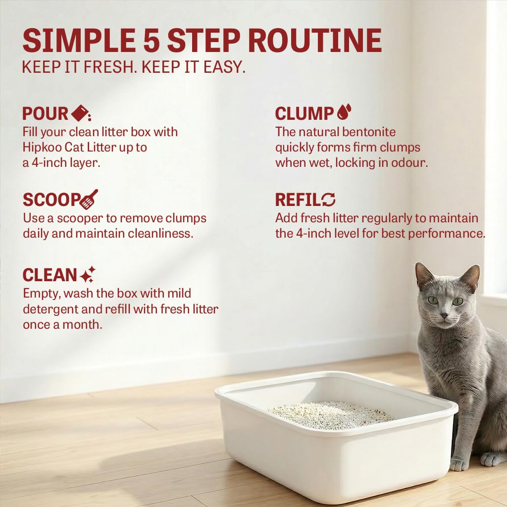 Hipkoo Exclusive Cat Litter 10Kg 100% Natural Unscented Bentonite Clay Dust Free Fragrance Free Absorbent Eco-Friendly Sand for All Breeds of Cats 2 Packs of 5 Kgs (Combo)
