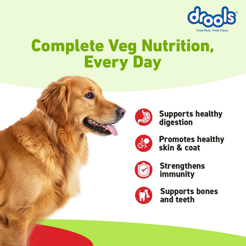 Drools Dry Dog Food All Life Stages 10kg | 100% Vegetarian Flavour | Supports Digestive Health | Strong Bones & Teeth | Boosts Immunity | Healthy Skin & Shiny Coat