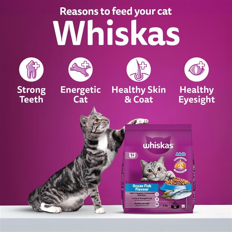Whiskas Adult (1+ Years) Dry Cat Food, Ocean Fish Flavour, 3 kg, Contains 41 Essential Nutrients, Complete & Balanced Nutrition for Adult Cats