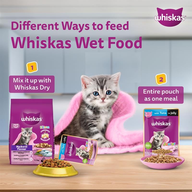 Whiskas Junior Kitten (2-12 Months) Wet Cat Food, Chicken in Gravy, 80 g (Pack of 14), Hydrating Food Made With Real Chicken, 100% Complete & Balanced Nutrition for Kittens