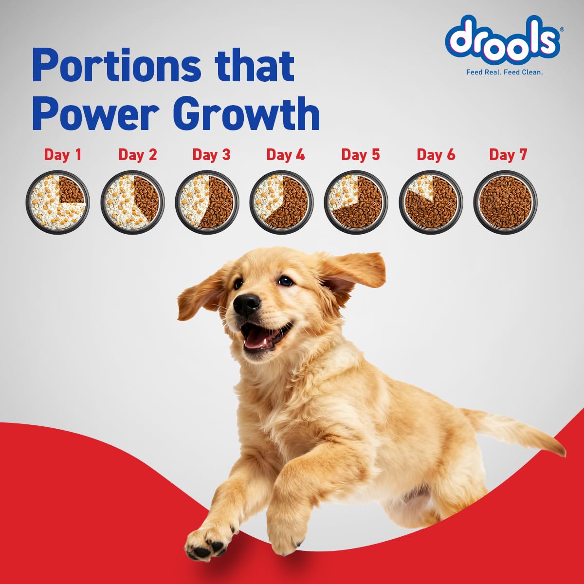Drools Puppy Dry Dog Food 4.2kg (3kg + 1.2kg Free) | Chicken & Egg Flavour | Supports Active Behaviour | Digestive Health & Immunity | Better Digestibility