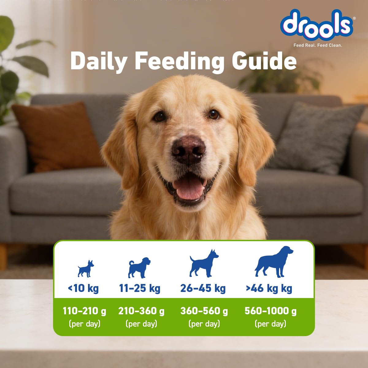 Drools Dry Dog Food All Life Stages 10kg | 100% Vegetarian Flavour | Supports Digestive Health | Strong Bones & Teeth | Boosts Immunity | Healthy Skin & Shiny Coat