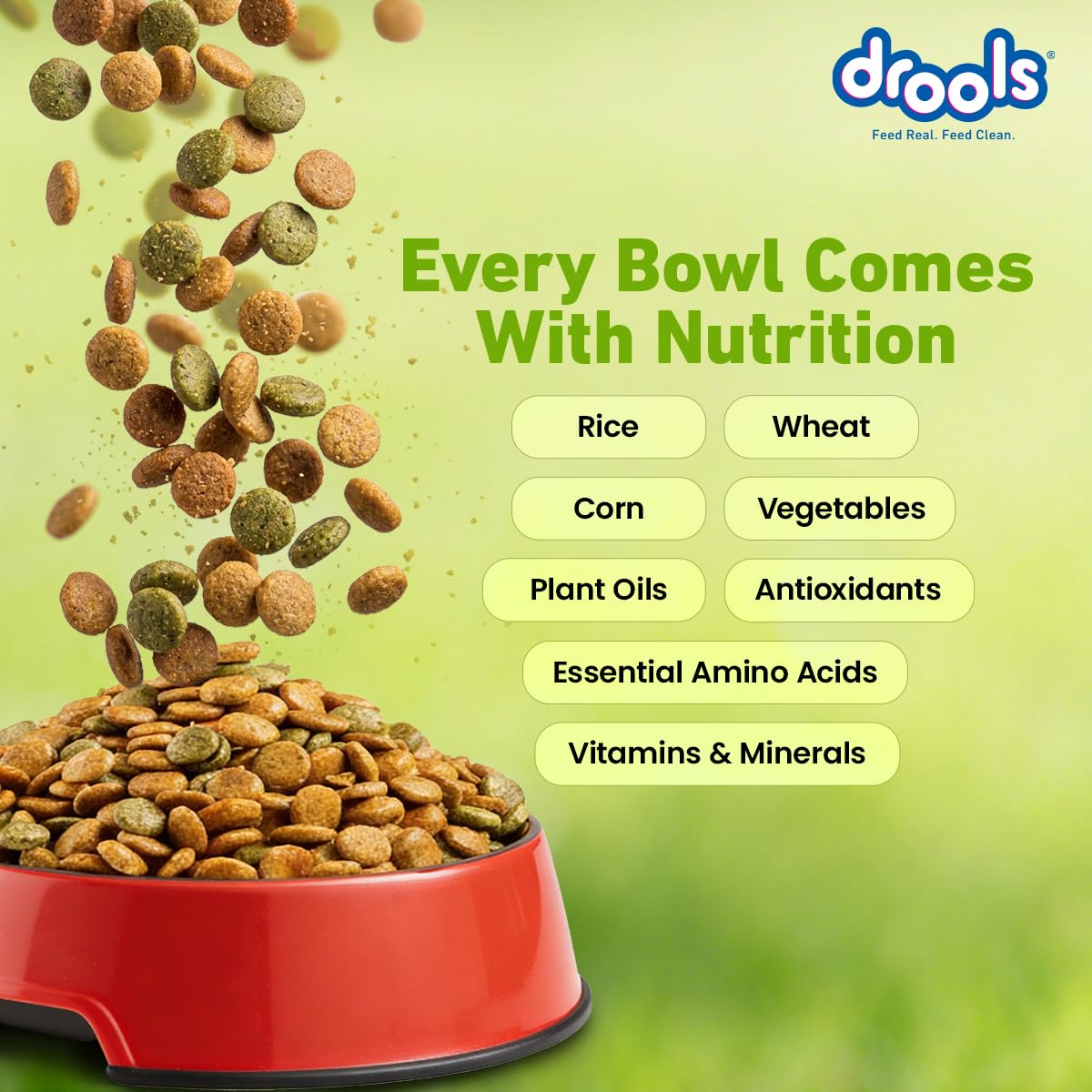 Drools Dry Dog Food All Life Stages 10kg | 100% Vegetarian Flavour | Supports Digestive Health | Strong Bones & Teeth | Boosts Immunity | Healthy Skin & Shiny Coat