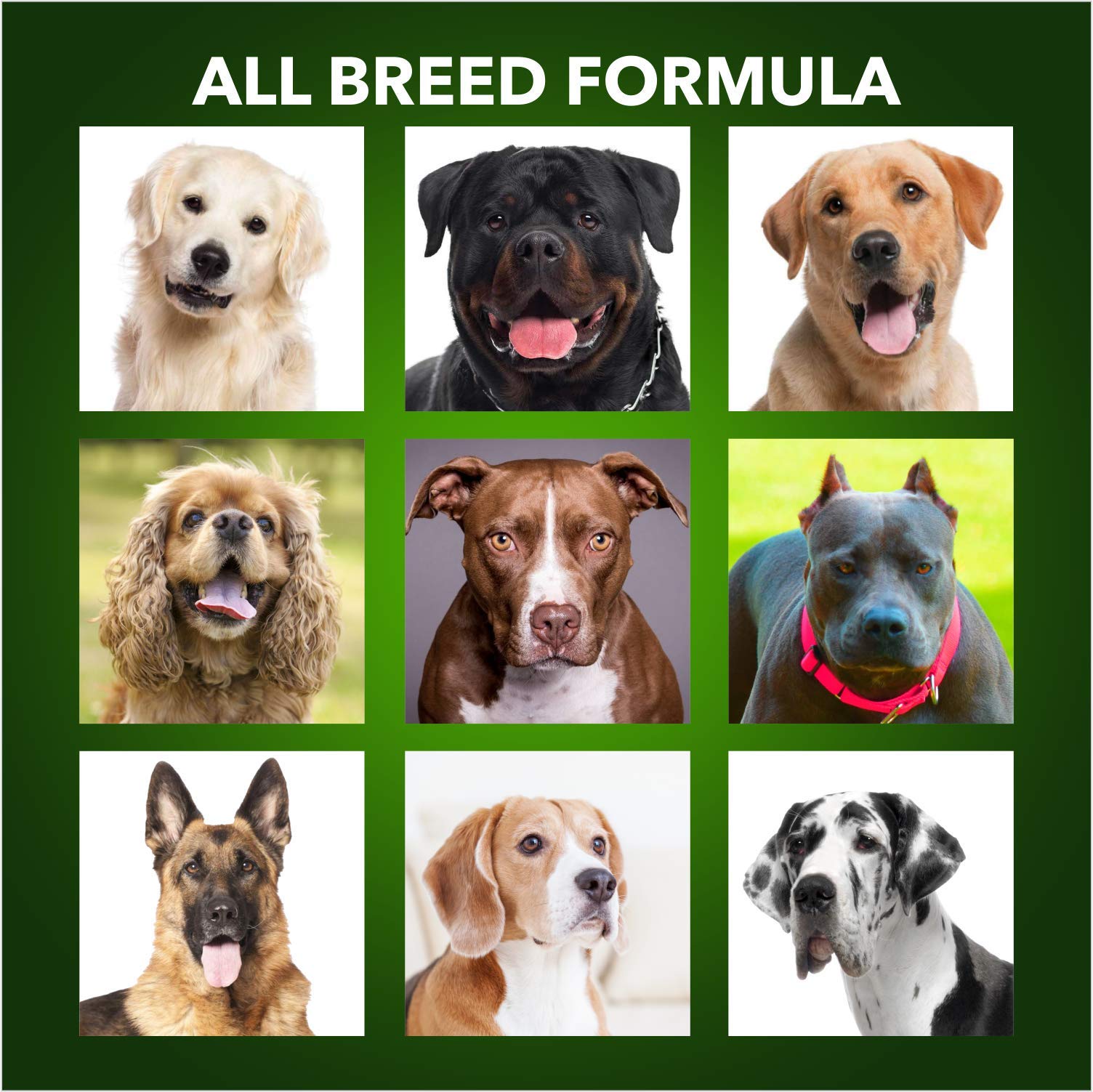 Meat Up Adult Dry Dog Food 3kg + 3kg (Free) 6kg | 100% Vegetable | Buy 1 Get 1 | Healthy Skin and Beautiful Coat | Antioxidants | Vitamins and Minerals