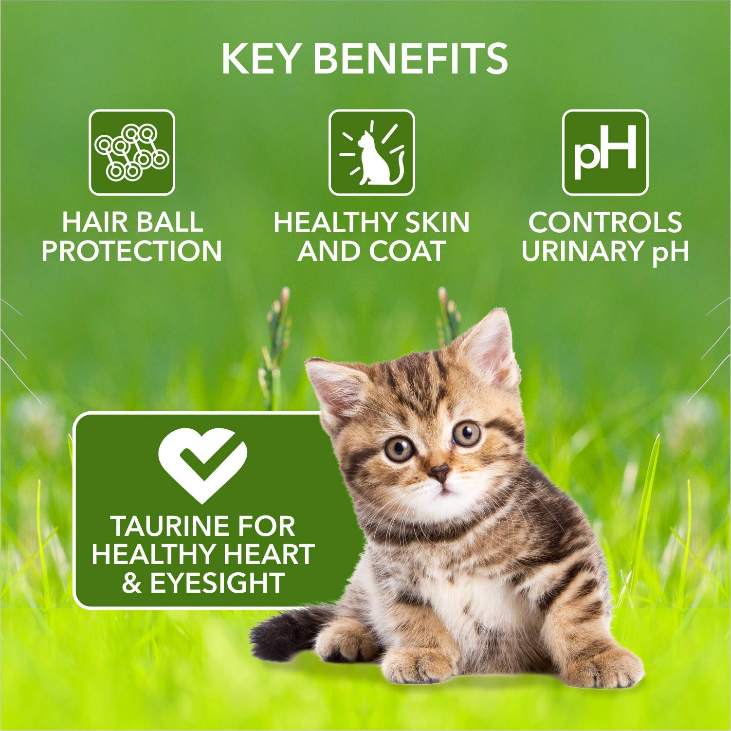 Meat Up Kitten Dry Cat Food (Up to 12 Months) 1.2kg + 1.2kg (Total 2.4kg Pack) | Ocean Fish Flavour | Complete Nutrition | Taurine for Heart