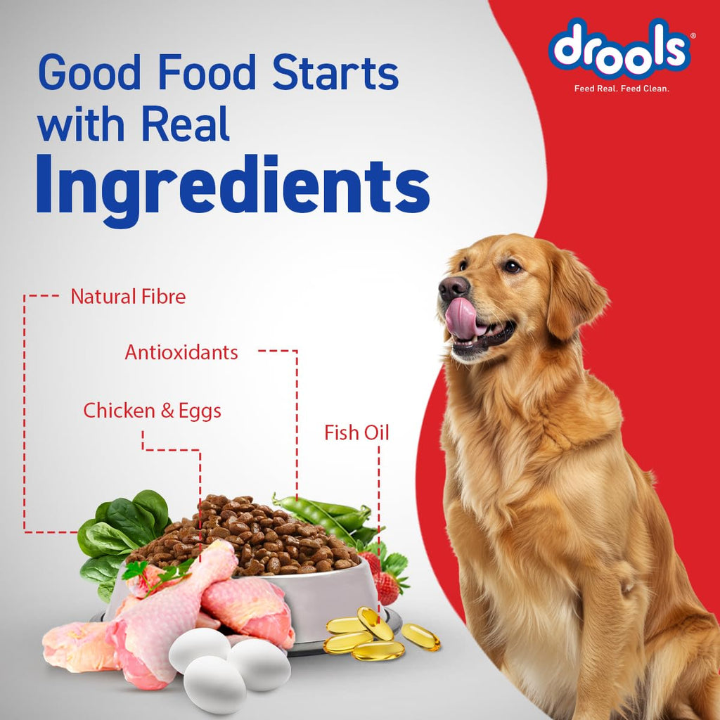 Drools Adult Dry Dog Food 4.2kg (3kg + 1.2kg Free) | Chicken & Egg Flavour | Supports Active Behaviour | Digestive Health & Immunity | Better Digestibility