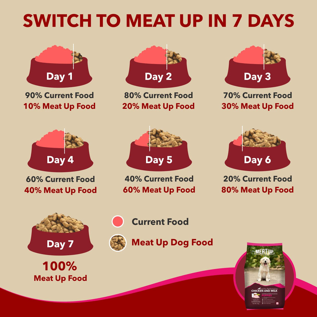 Meat Up Puppy Dry Dog Food 6kg (3kg + 3kg Free) | Chicken & Milk Flavour | Supports Brain & Nervous System Development | Maintains Digestive Health | Enriched with Vitamins & Minerals