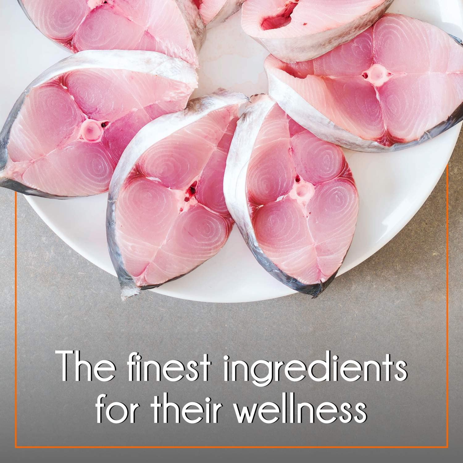 Purepet Adult Dry Cat Food 1kg | Mackerel Flavour | Hairball Protection | Heart Care with Taurine | Skin Health