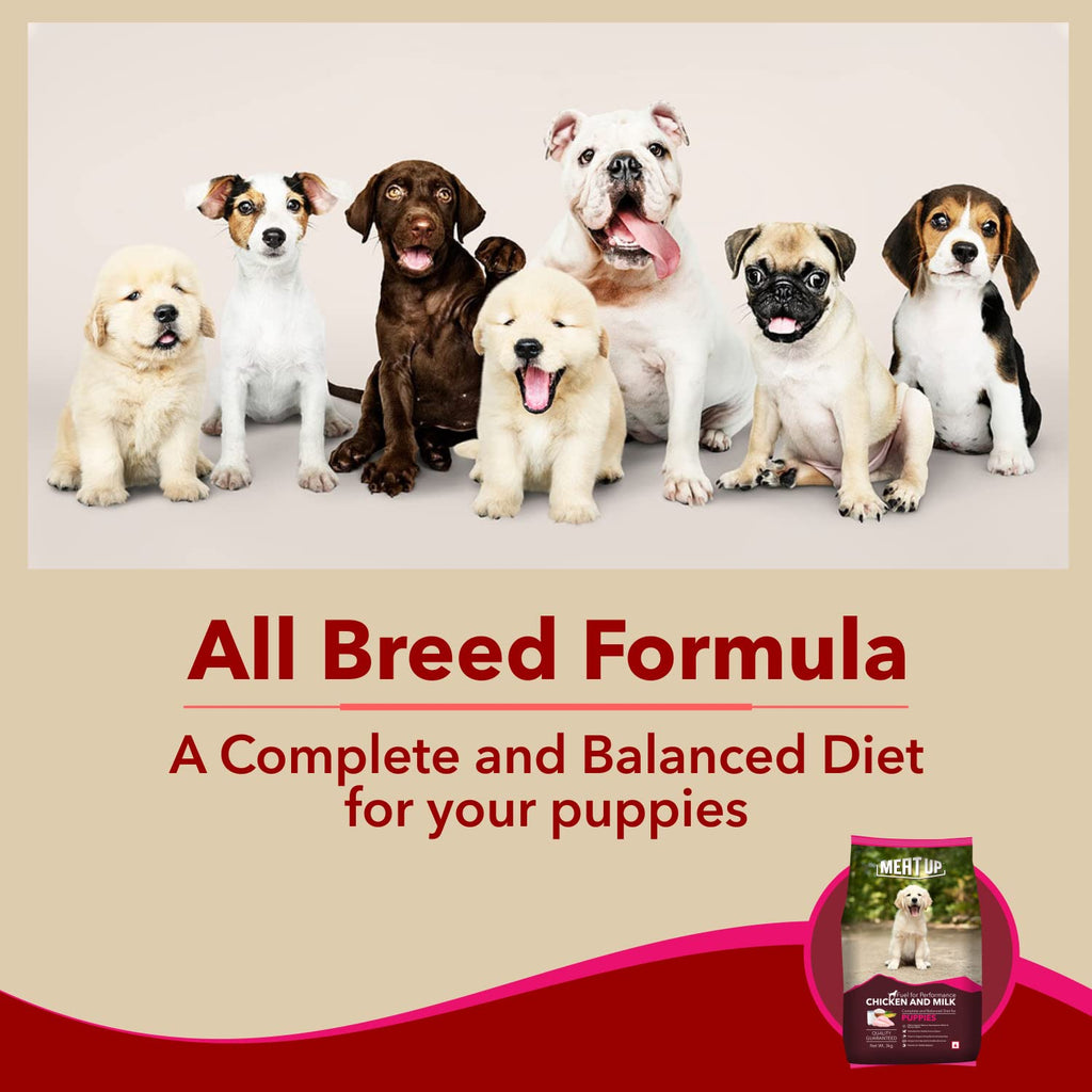 Meat Up Puppy Dry Dog Food 6kg (3kg + 3kg Free) | Chicken & Milk Flavour | Supports Brain & Nervous System Development | Maintains Digestive Health | Enriched with Vitamins & Minerals