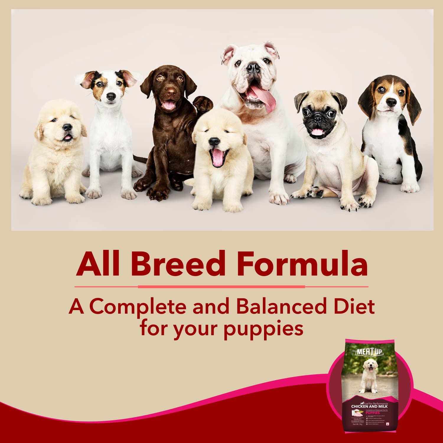 Meat Up Puppy Dry Dog Food 6kg (3kg + 3kg Free) | Chicken & Milk Flavour | Supports Brain & Nervous System Development | Maintains Digestive Health | Enriched with Vitamins & Minerals