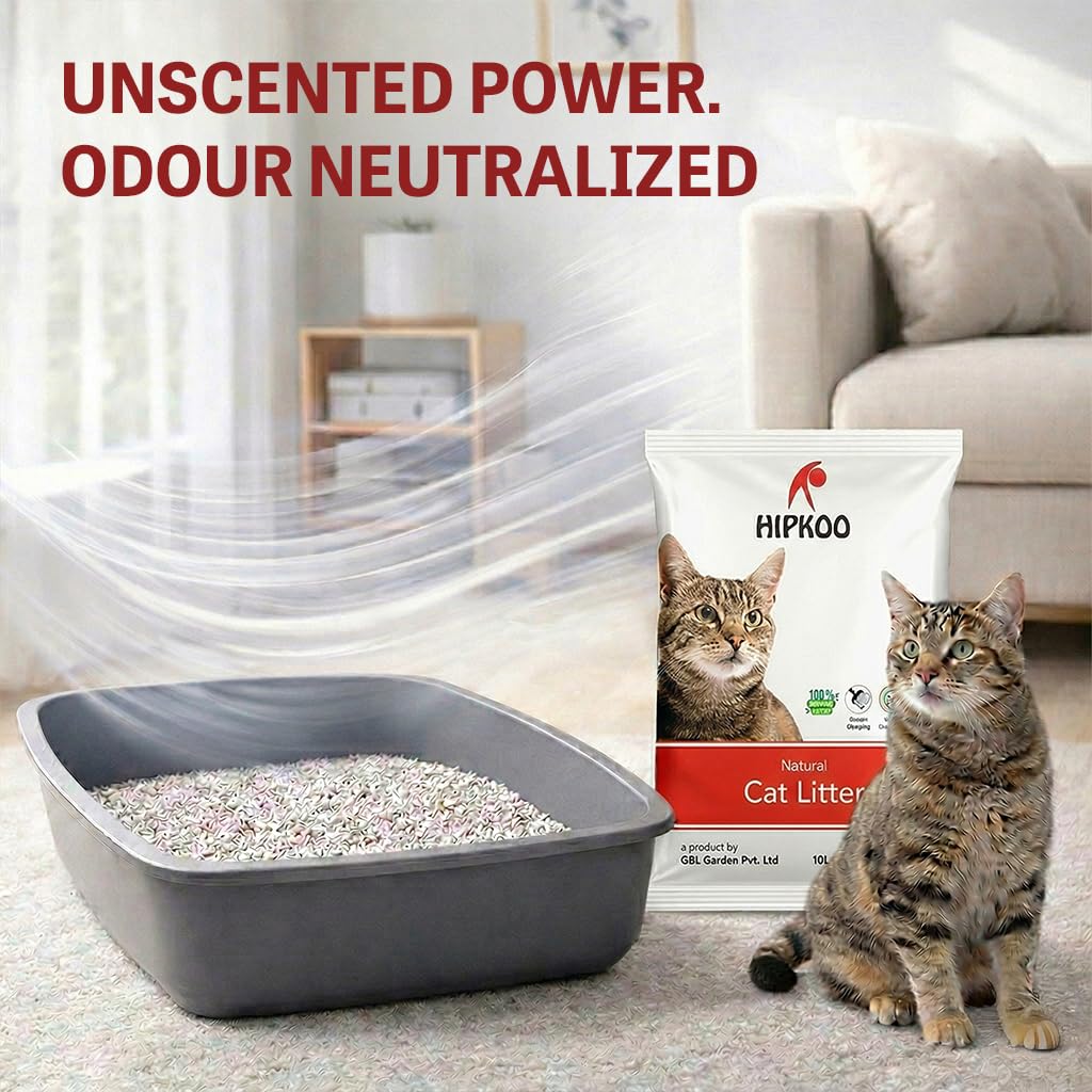 Hipkoo Exclusive Cat Litter 10Kg 100% Natural Unscented Bentonite Clay Dust Free Fragrance Free Absorbent Eco-Friendly Sand for All Breeds of Cats 2 Packs of 5 Kgs (Combo)