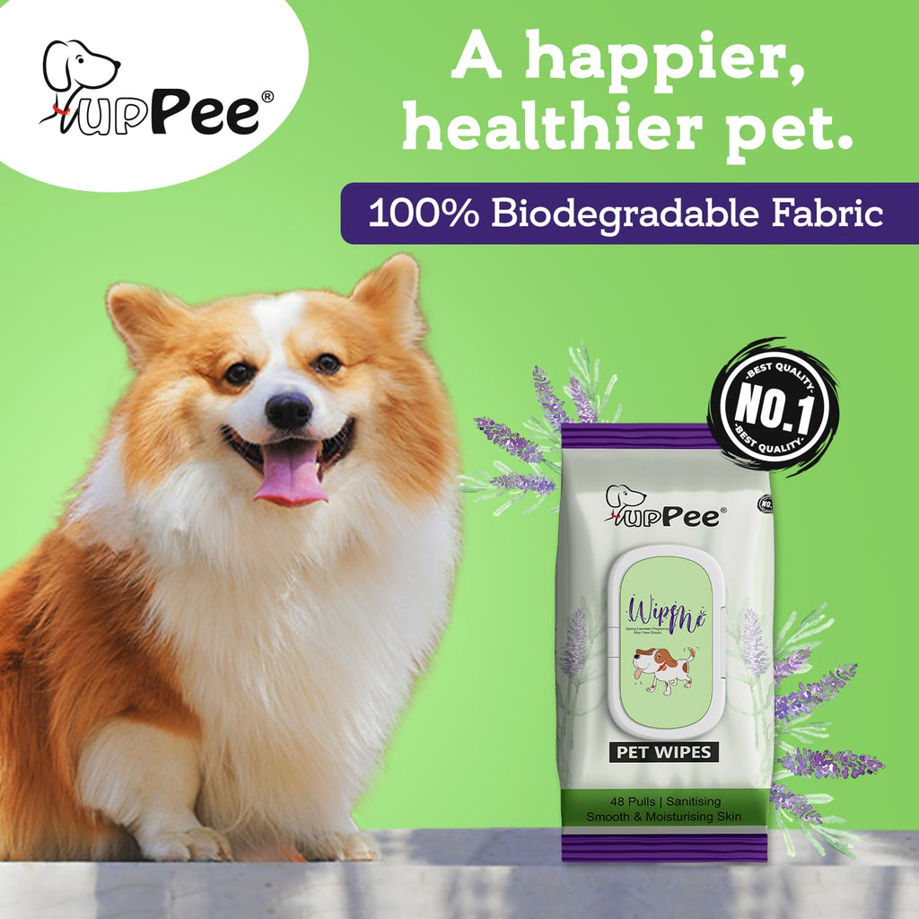 PUPPEE Wipe ME 100% Biodegradable 96 Count (Pack of 2) Wet Wipes for Dogs, Cats & All Pets | Lavender Essential, Vitamin E & Olive Oil | Anti-Bacterial | Cleansing, Deodorising & Grooming Wipes