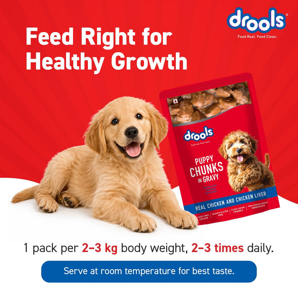 Drools Puppy Wet Dog Food 0.9kg (150g x 6 Packs) | Real Chicken & Chicken Liver Chunks in Gravy | Better Digestibility & Overall Health | Supports Healthy Skin & Coat | Maintains Joint Health