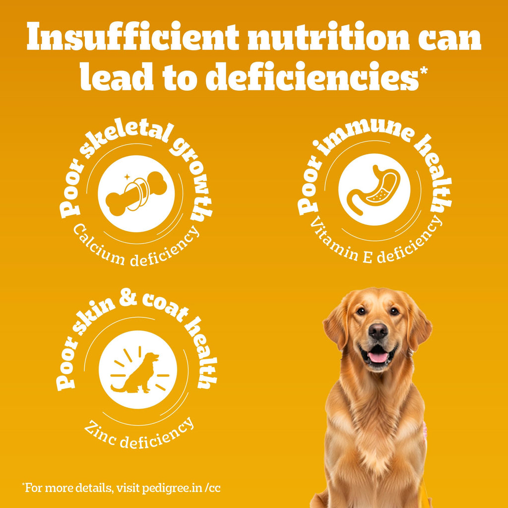 Pedigree Adult Dry Dog Food, Meat & Rice, 3 kg, Contains 37 Essential Nutrients, 100% Complete & Balanced Food for Adult Dogs