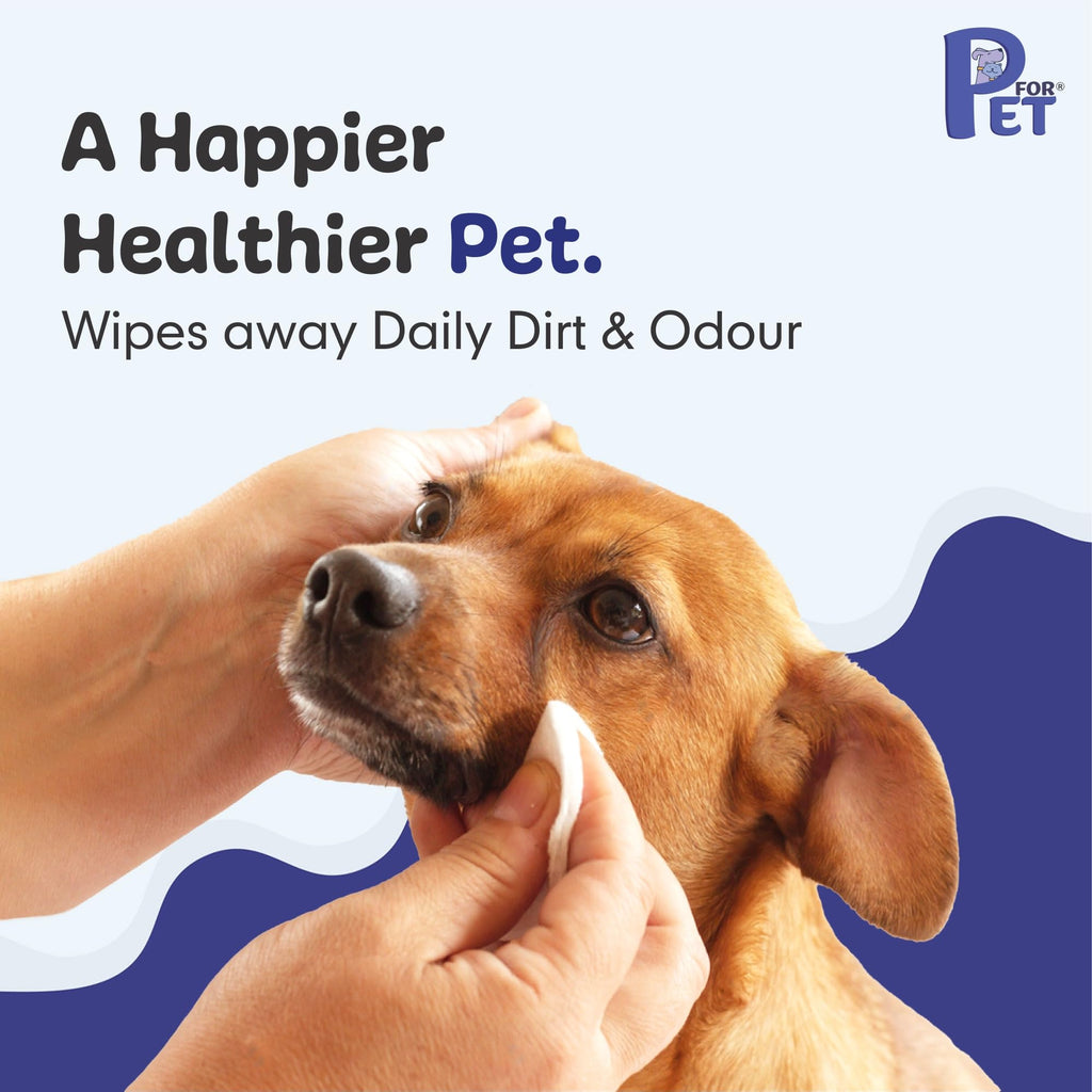 P for PET Grooming Wet Wipes 300 Count(Pack of 3) for Dogs, Cats & All Pets | Purified Water, Glycerin |Anti-Bacterial|Cleansing, Deodorising Wipes