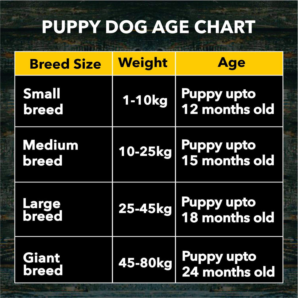 Meat Up Puppy Dry Dog Food 20kg (10kg + 10kg) | Real Chicken Flavor | Supports Brain & Nervous System Development | Promotes Digestive Health | Enriched with Vitamins and Minerals