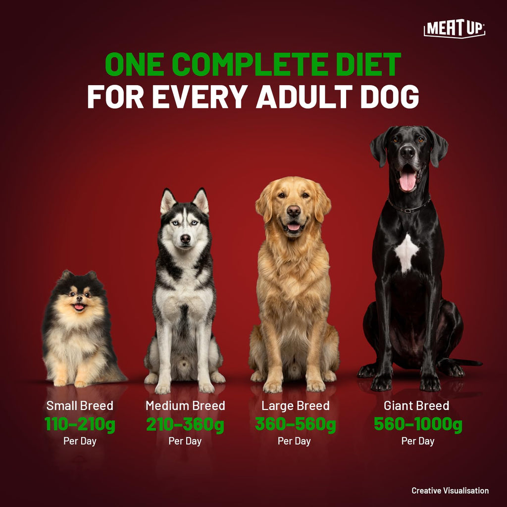 Meat Up Adult Dry Dog Food 3kg + 3kg (Free) 6kg | 100% Vegetable | Buy 1 Get 1 | Healthy Skin and Beautiful Coat | Antioxidants | Vitamins and Minerals
