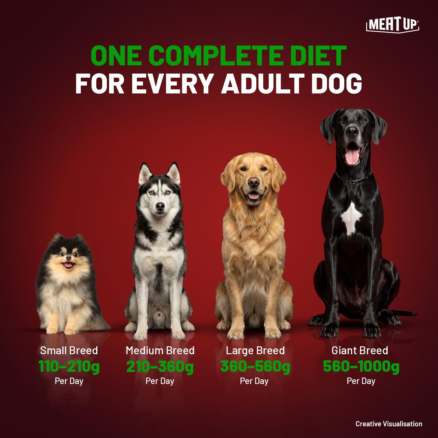 Meat Up Adult Dry Dog Food 3kg + 3kg (Free) 6kg | 100% Vegetable | Buy 1 Get 1 | Healthy Skin and Beautiful Coat | Antioxidants | Vitamins and Minerals