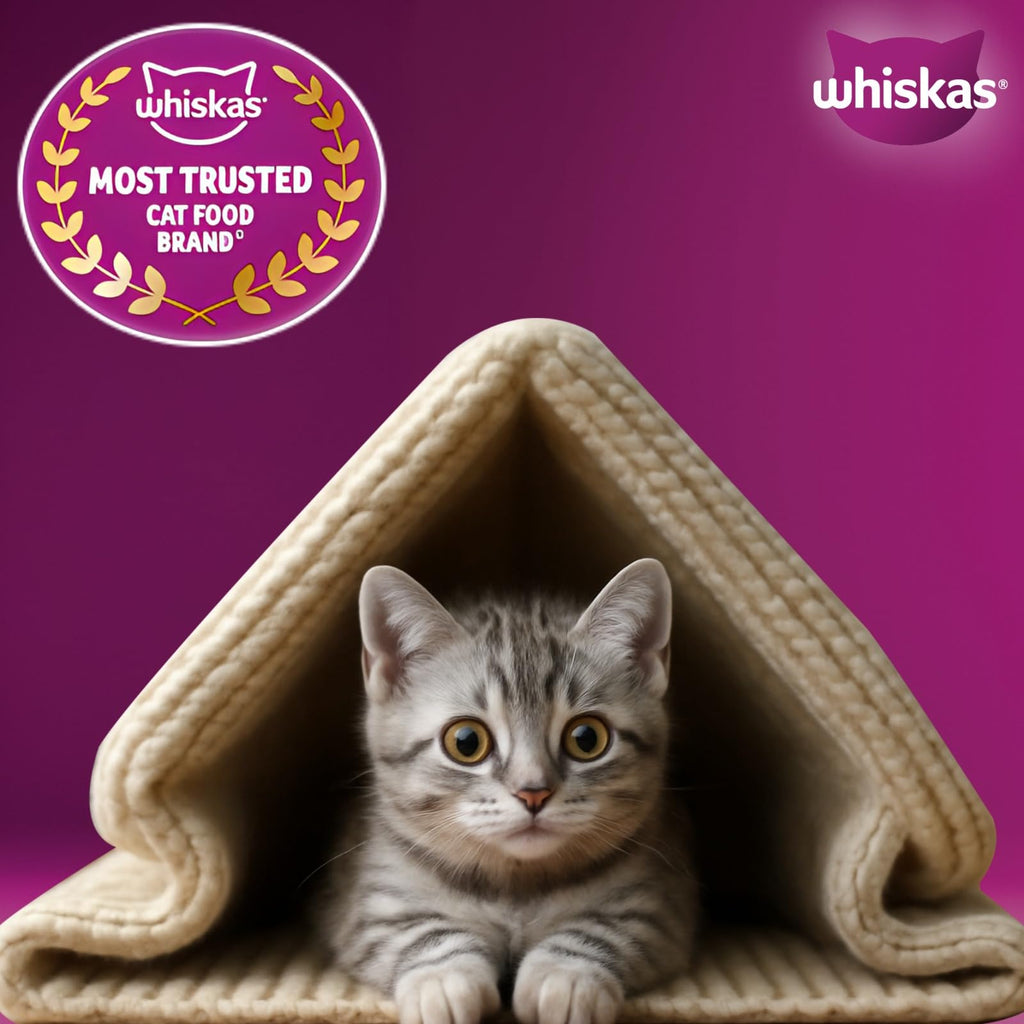 Whiskas Junior Mother Cat & Kitten (2-12 Months) Dry Cat Food, Ocean Fish Flavour, 1.1 kg, Contains 41 Essential Nutrients, Complete & Balanced Nutrition for Mother Cats & Kittens
