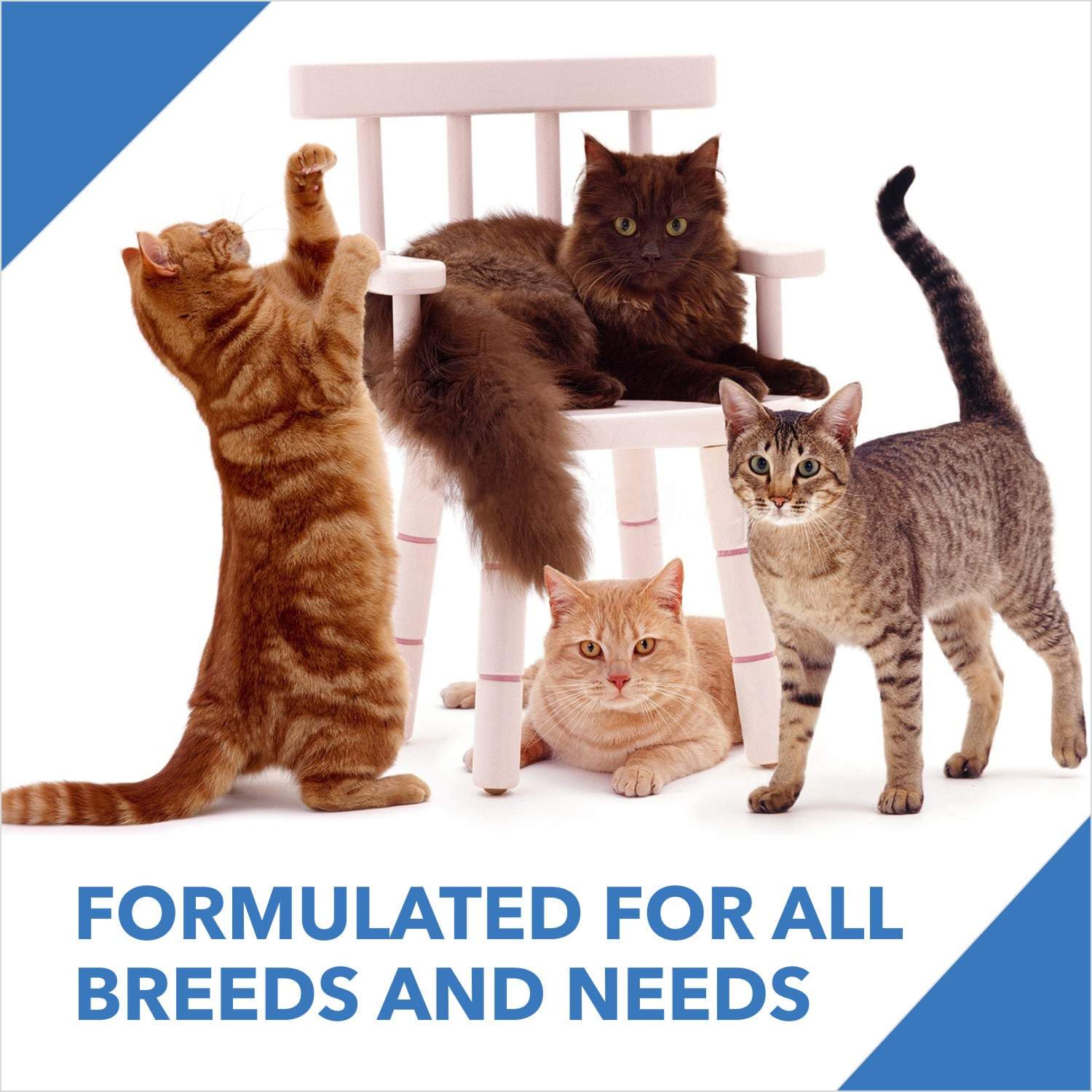Drools Adult Dry Cat Food 3kg with 1.2kg, Total 4.2 kg Pack | Ocean Fish Flavour | Supports Vision | Promotes Cardiac Health | Enhances Skin & Coat | Maintains Urinary Tract Health