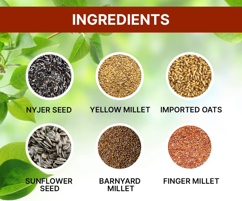 BOLTZ All Life Stages Bird Food for Budgies - Mix Seeds, Medium, 1200 g