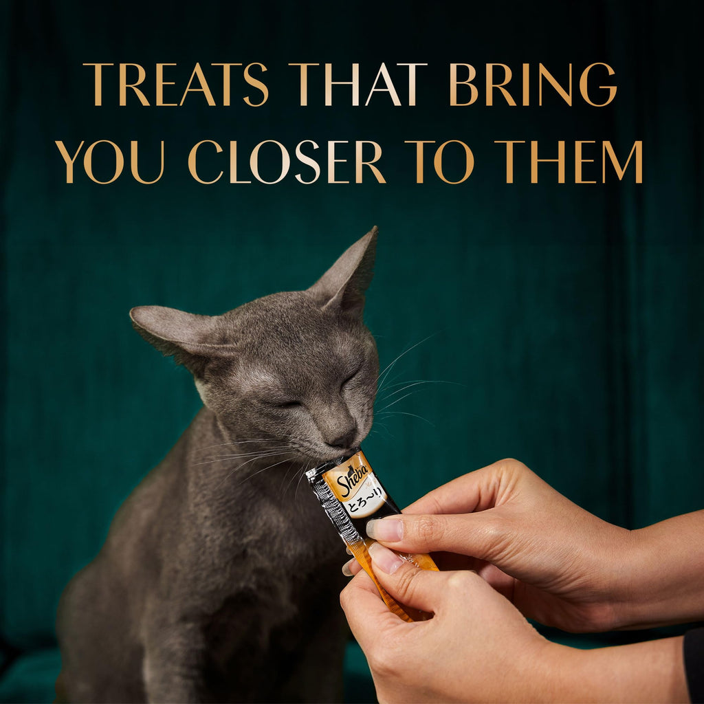 Sheba Melty Premium Lickable Creamy Cat Treats, Maguro Selection – Tuna & Tuna & Prawn Flavors, 4 Sticks x 12g (48g), Creamy Treats for Bonding